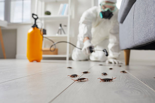Affordable Cockroach Control solutions in Garden City, SC
